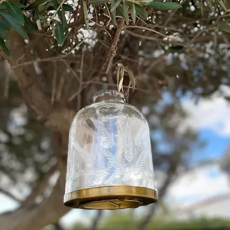 Menorca Lirio By Mauter كالا ان بوسش