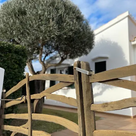 Menorca Lirio By Mauter Villa