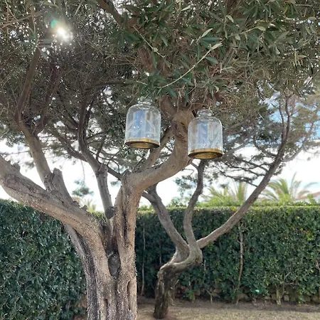 Menorca Lirio By Mauter וילה קאלאן בוש